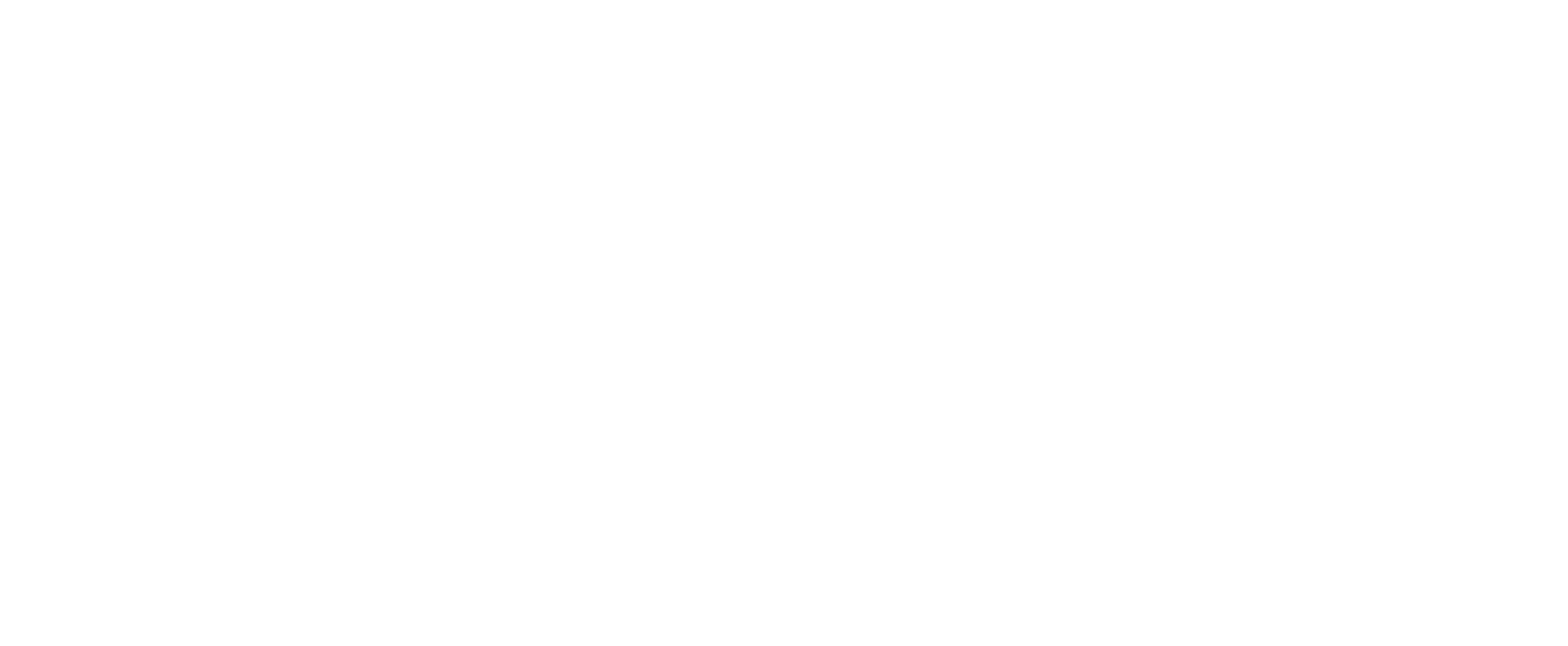 FMG Logo