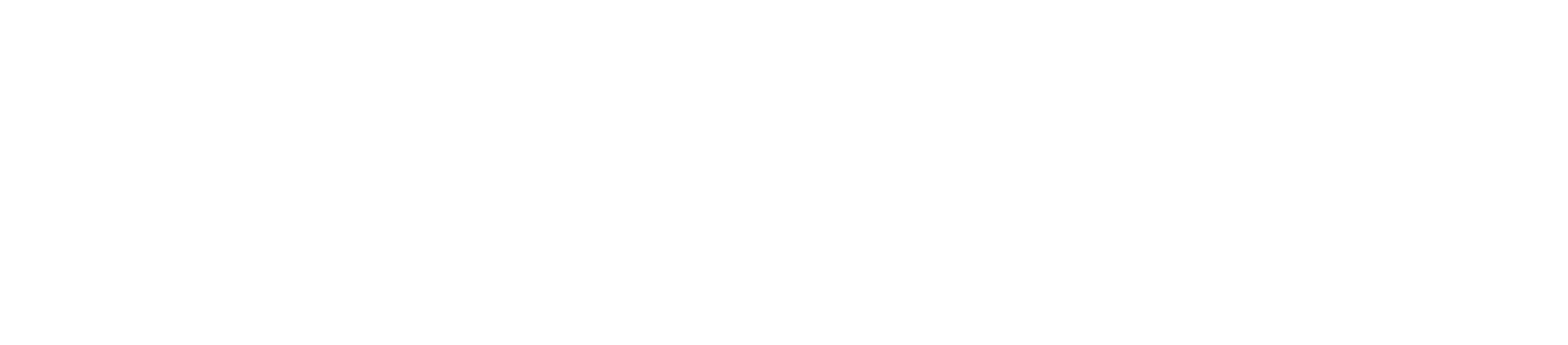 Angelo American Logo